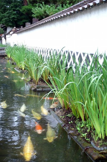 20070720_yamaguchitrip_0371